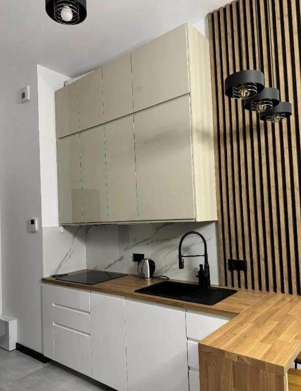 Rentpoland Wiktoryn Studio Apartment Warsaw Luaran gambar
